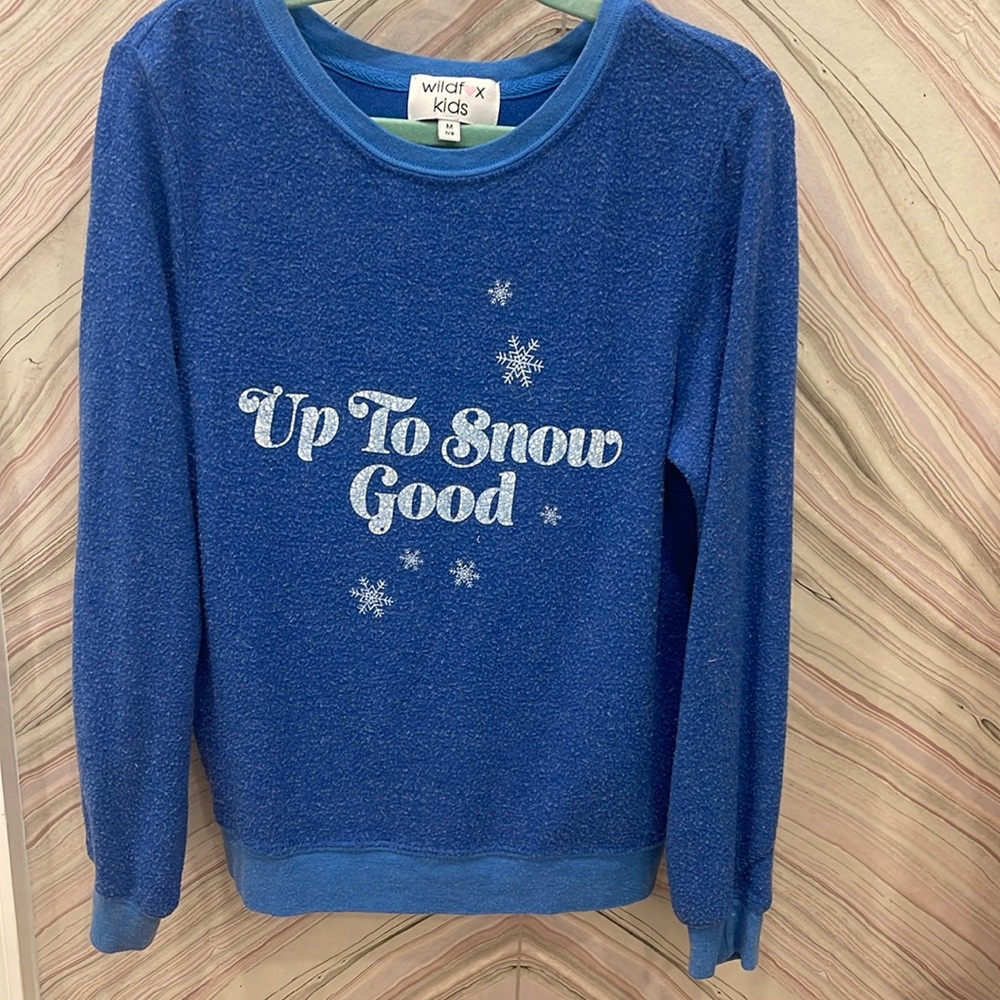 Wildfox Sweatshirt